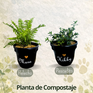 FOTOS PAGINA WEB (11)
