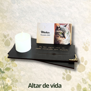 FOTOS PAGINA WEB (12)