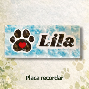FOTOS PAGINA WEB (13)