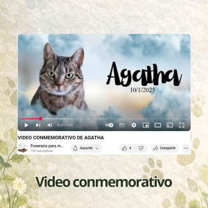 FOTOS PAGINA WEB (14)