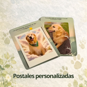 FOTOS PAGINA WEB (16)