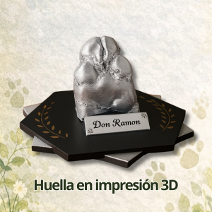 FOTOS PAGINA WEB (17)